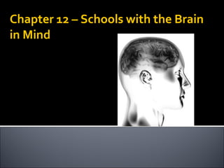 Chapter 12 – Schools with the Brain in Mind 
