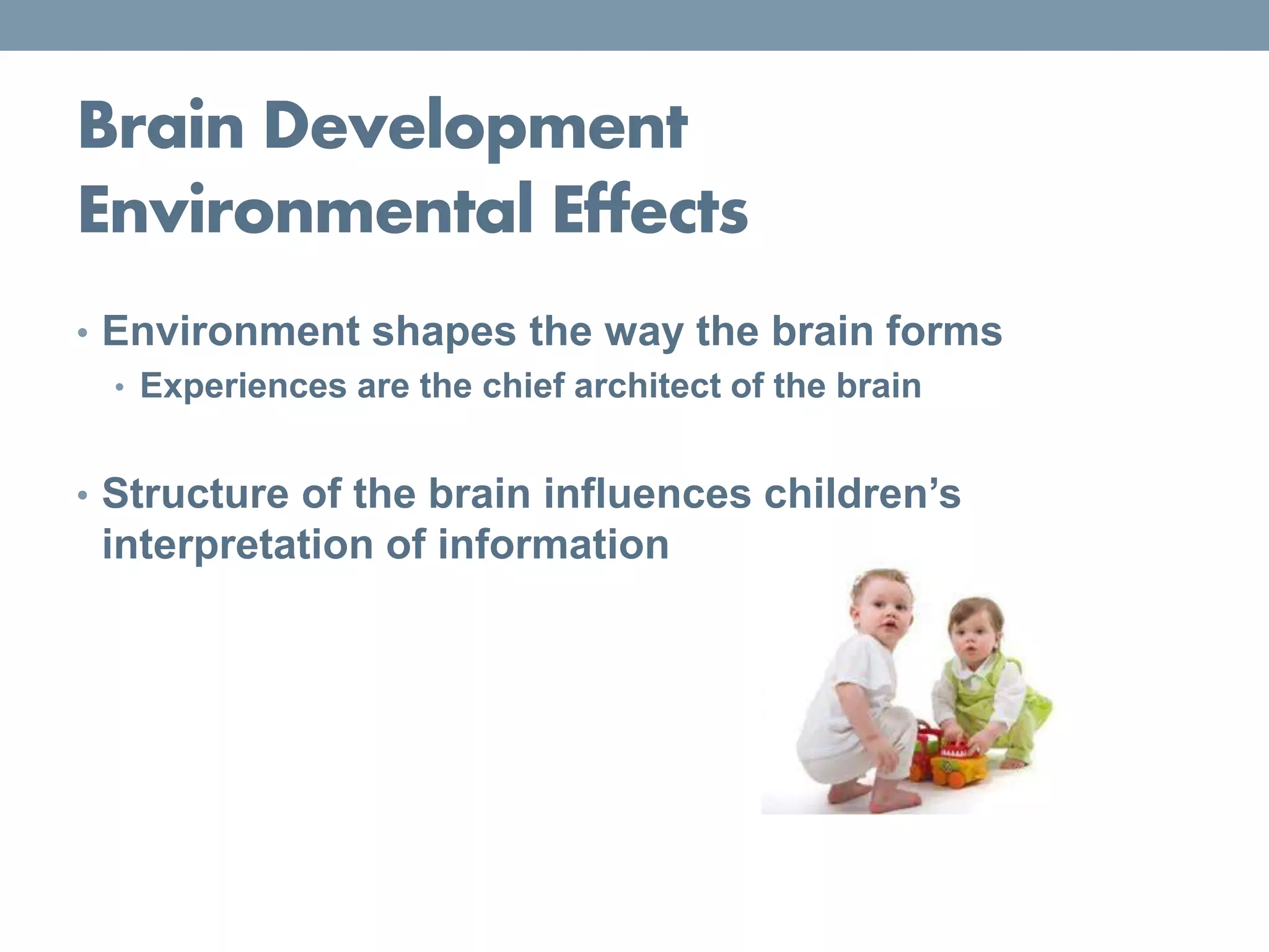 Brain Development
Environmental Effects
• Environment shapes the way the brain forms
• Experiences are the chief architect of the brain
• Structure of the brain influences children’s
interpretation of information
 