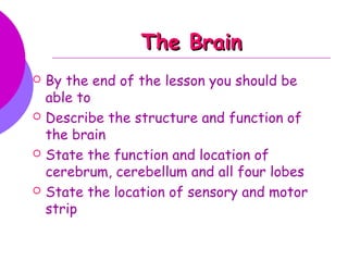 The BrainThe Brain
 By the end of the lesson you should be
able to
 Describe the structure and function of
the brain
 State the function and location of
cerebrum, cerebellum and all four lobes
 State the location of sensory and motor
strip
 