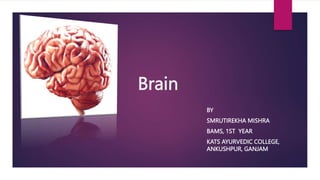Brain
BY
SMRUTIREKHA MISHRA
BAMS, 1ST YEAR
KATS AYURVEDIC COLLEGE,
ANKUSHPUR, GANJAM
 