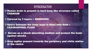 Human brain.. It's parts and function. | PPTX