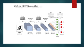 Brain tumor detection and segmentation using deep learning | PPTX