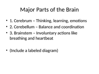 Major Parts of the Brain
• 1. Cerebrum – Thinking, learning, emotions
• 2. Cerebellum – Balance and coordination
• 3. Brainstem – Involuntary actions like
breathing and heartbeat
• (Include a labeled diagram)
 