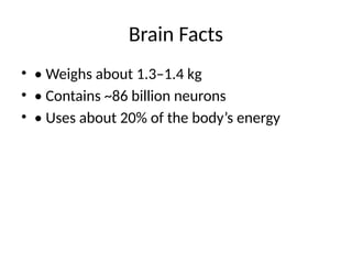 Brain Facts
• • Weighs about 1.3–1.4 kg
• • Contains ~86 billion neurons
• • Uses about 20% of the body’s energy
 