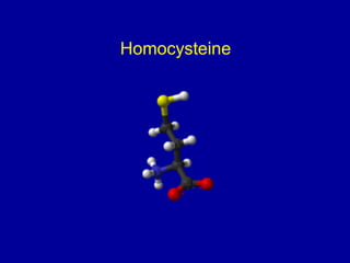 Homocysteine
 