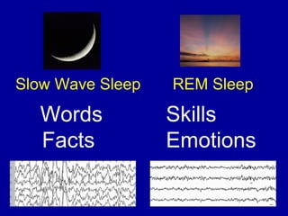 Words
Facts
Skills
Emotions
Slow Wave Sleep REM Sleep
 