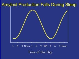 Amyloid Production Falls During Sleep
 