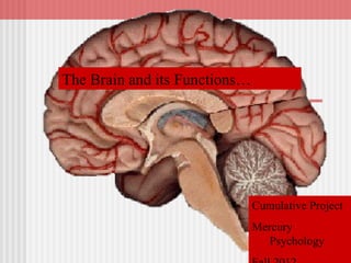 Parts of The Brain | PPT