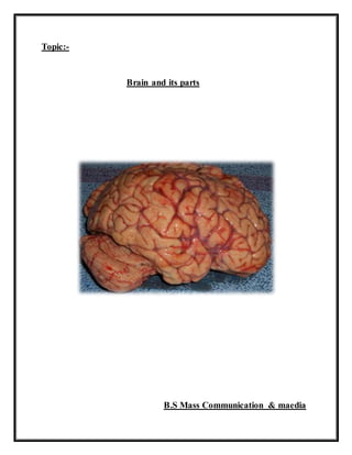 Topic:-
Brain and its parts
B.S Mass Communication & maedia
 
