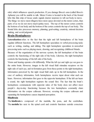 side) which influences speech production. If you damage Broca's area (called Broca's
Aphasia) you will be unable to talk. Motor Cortex is located in the back of the frontal
lobe this thin strip of tissue sends signals (motor neurons) to tell our body to move.
The things we move more (fingers) have more space devoted on the motor cortex, than
parts of us we do not move much (pinky toes). The top of the motor cortex controls
the bottom of our body and the bottom of the cortex controls the top of our body. The
frontal lobe also processes memory, planning, goal-setting, creativity, rational decision
making, and social judgment.
Brain Hemispheres
Lateralization refers to the fact that the right and left hemispheres of the brain
regulate different functions. The left hemisphere specializes in verbal processing tasks
such as writing, reading, and talking. The right hemisphere specializes in nonverbal
processing tasks such as playing music, drawing, and recognizing childhood friends.
Because of the organization of the nervous system, the left hemisphere of the brain
controls the functioning of the right side of the body. Likewise, the right hemisphere
controls the functioning of the left side of the body.
Vision and hearing operate a bit differently. What the left eye and right eye see goes to
the entire brain. However, images in the left visual field stimulate receptors on the
right side of each eye, and in-formation goes from those points to the right hemisphere.
Information perceived by the right visual field ends up in the left hemisphere. In the
case of auditory information, both hemispheres receive input about what each ear
hears. However, information first goes to the opposite hemisphere. If the left ear hears
a sound, the right hemisphere registers the sound first. The fact that the brain’s
hemispheres communicate with opposite sides of the body does not affect most
people’s day-to-day functioning because the two hemispheres constantly share
information via the corpus callosum. However, severing the corpus callosum and
separating the hemispheres causes impaired perception.
Hindbrain
The hindbrain is composed of the medulla, the pons, and the cerebellum.
The medulla lies next to the spinal cord and controls functions outside conscious
 