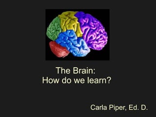 The Brain:  How do we learn? Carla Piper, Ed. D. 