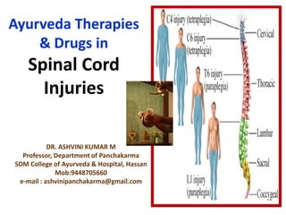 Ayurveda Therapies
& Drugs in
Spinal Cord
Injuries
DR. ASHVINI KUMAR M
Professor, Department of Panchakarma
SDM College of Ayurveda & Hospital, Hassan
Mob:9448705660
e-mail : ashvinipanchakarma@gmail.com
 