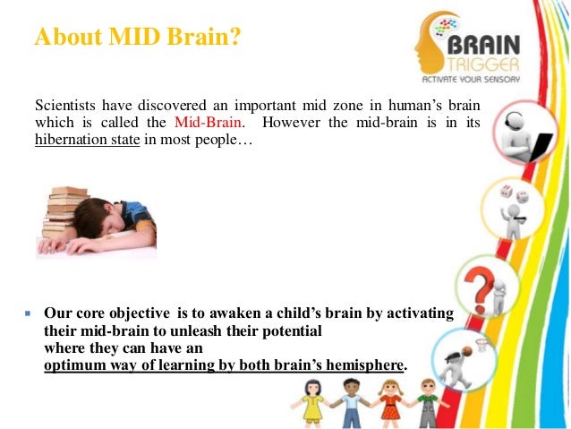 Drugs to enhance memory and concentration photo 1