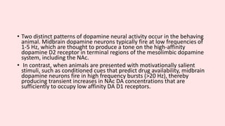• Two distinct patterns of dopamine neural activity occur in the behaving
animal. Midbrain dopamine neurons typically fire at low frequencies of
1-5 Hz, which are thought to produce a tone on the high-affinity
dopamine D2 receptor in terminal regions of the mesolimbic dopamine
system, including the NAc.
• In contrast, when animals are presented with motivationally salient
stimuli, such as conditioned cues that predict drug availability, midbrain
dopamine neurons fire in high frequency bursts (>20 Hz), thereby
producing transient increases in NAc DA concentrations that are
sufficiently to occupy low affinity DA D1 receptors.
 