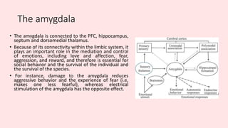 The amygdala
• The amygdala is connected to the PFC, hippocampus,
septum and dorsomedial thalamus.
• Because of its connectivity within the limbic system, it
plays an important role in the mediation and control
of emotions, including love and affection, fear,
aggression, and reward, and therefore is essential for
social behavior and the survival of the individual and
the survival of the species.
• For instance, damage to the amygdala reduces
aggressive behavior and the experience of fear (i.e,
makes one less fearful), whereas electrical
stimulation of the amygdala has the opposite effect.
 