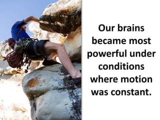 Our brains became most powerful under conditions where motion was constant.