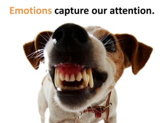 Emotions capture our attention.