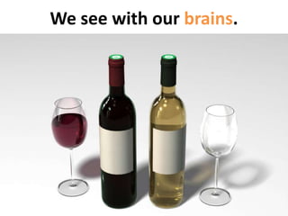 We see with our brains. 