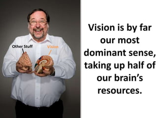 Vision is by far our most dominant sense, taking up half of our brain’s resources.Other StuffVision