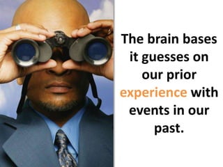 The brain bases it guesses on our prior experience with events in our past. 