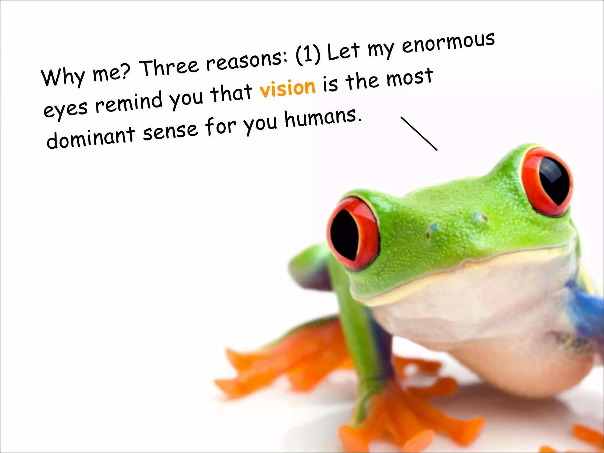 Why me? Three reasons: (1) Let my enormous
eyes remind you that vision is the most
dominant sense for you humans.
 