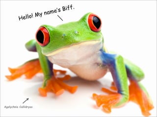 Hello! My name’s Biff.
Agalychnis Callidryas
 