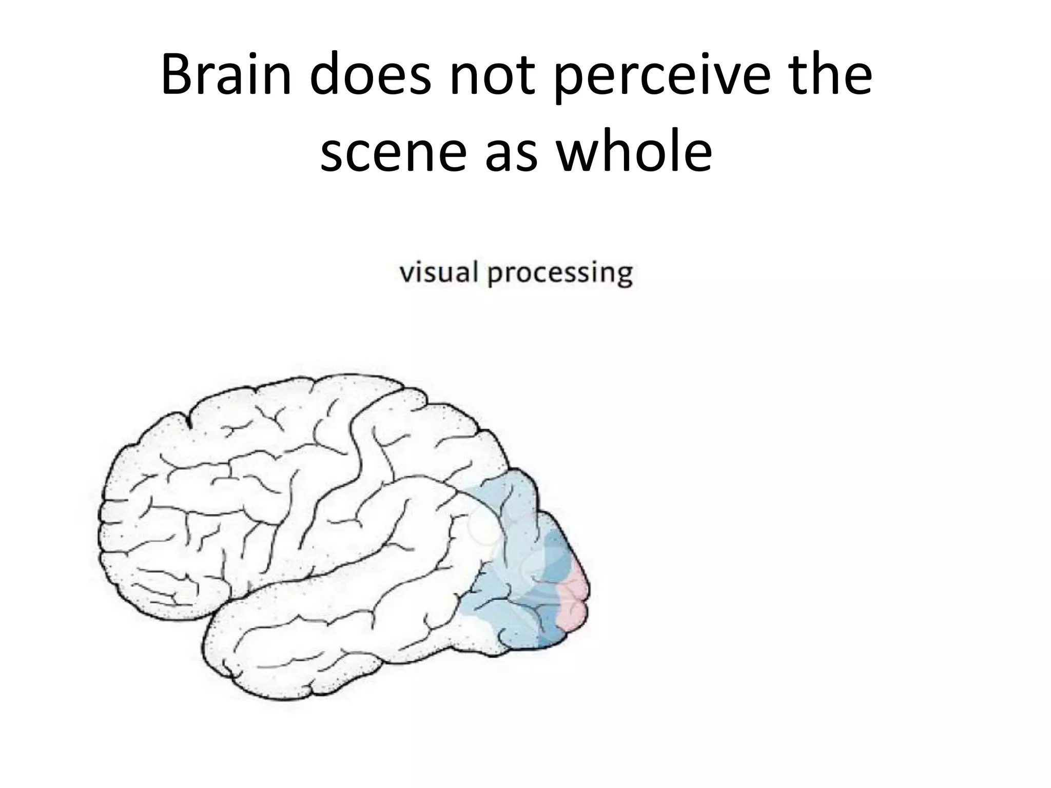 Brain does not perceive the
      scene as whole
 