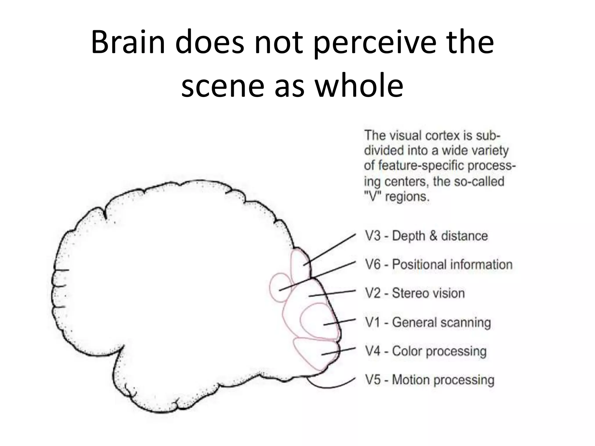 Brain does not perceive the
      scene as whole
 