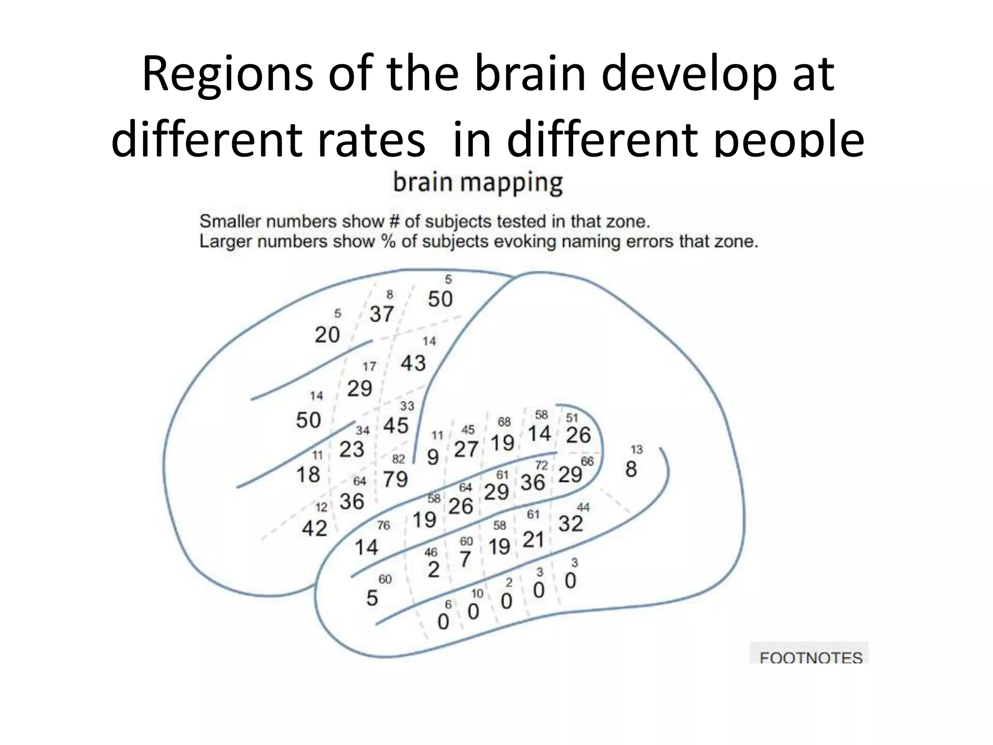 Regions of the brain develop at
different rates in different people
 