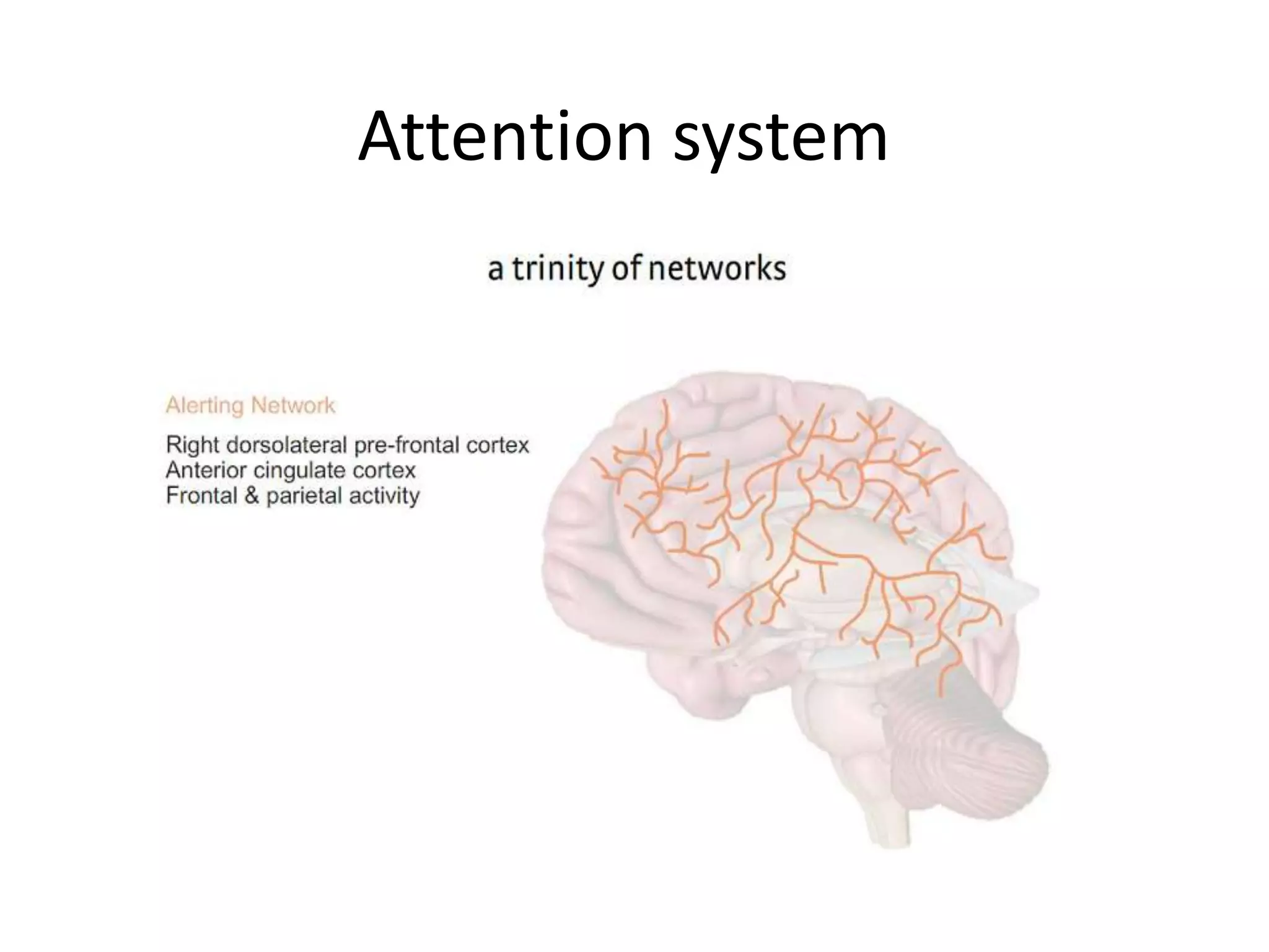Attention system
 
