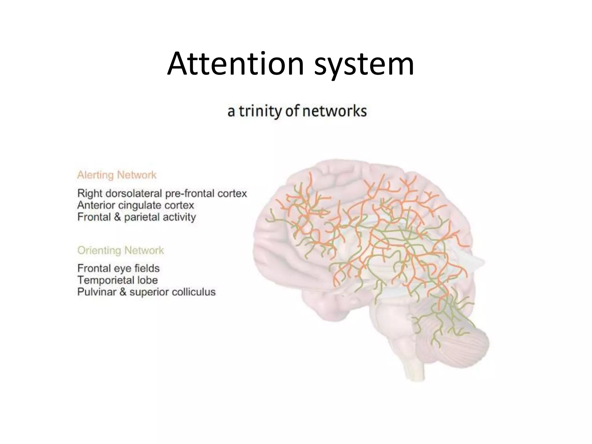 Attention system
 