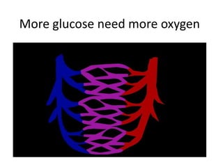 More glucose need more oxygen
 