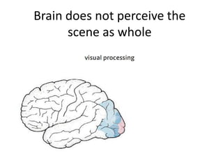 Brain does not perceive the
      scene as whole
 