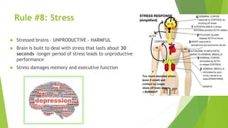 Rule #8: Stress
 Stressed brains – UNPRODUCTIVE - HARMFUL
 Brain is built to deal with stress that lasts about 30
seconds –longer period of stress leads to unproductive
performance
 Stress damages memory and executive function
 