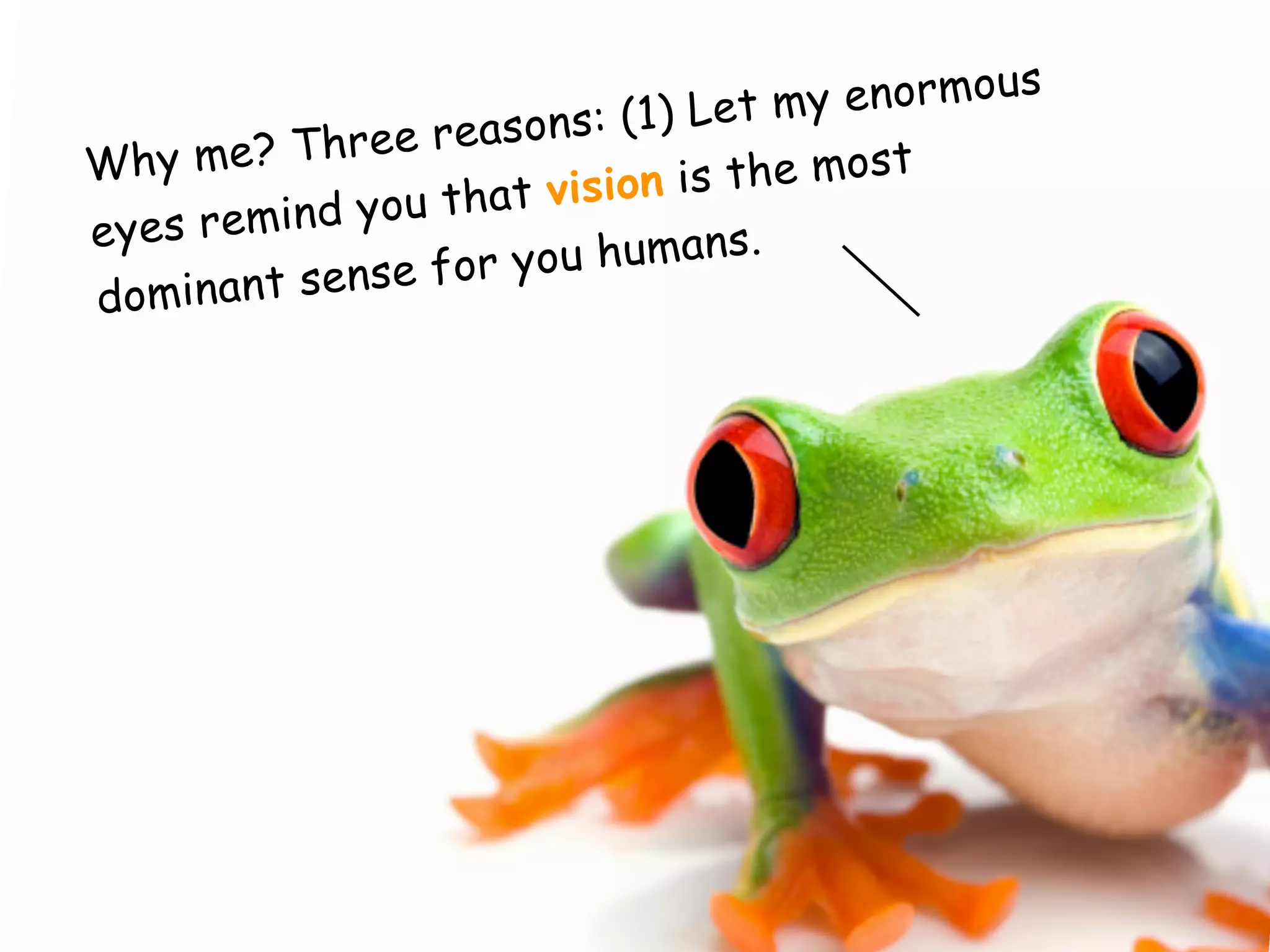Brain Rules for Presenters