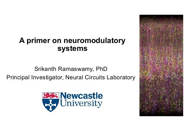 A primer on neuromodulatory
systems
Srikanth Ramaswamy, PhD
Principal Investigator, Neural Circuits Laboratory
 