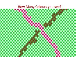 How Many Colours you see?

 