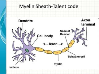 Myelin Sheath-Talent code
• Jeremy
– His first day
– Mistakes made
– Successes achieved
– The moral of the story

 