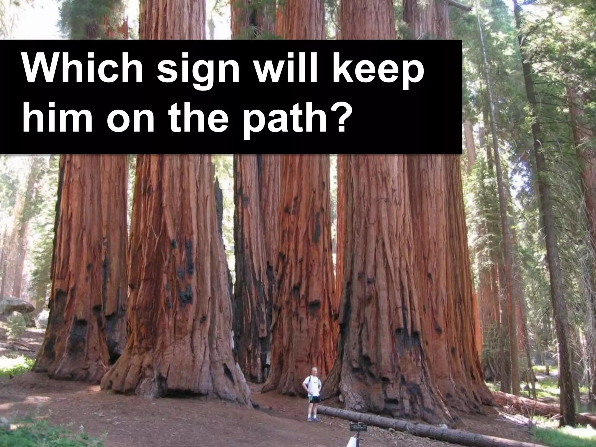Which sign will keep
him on the path?
 