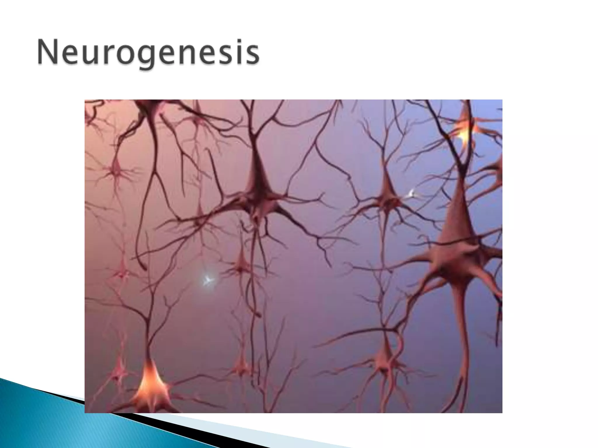 The brain is a survival organ. It is designed to solve problems related to surviving in an unstable outdoor environment and to do so in nearly constant motion (to keep you alive long enough to pass your genes on). We were not the strongest on the planet but we developed the strongest brains, the key to our survival.Rule #2: The human brain evolved, too.