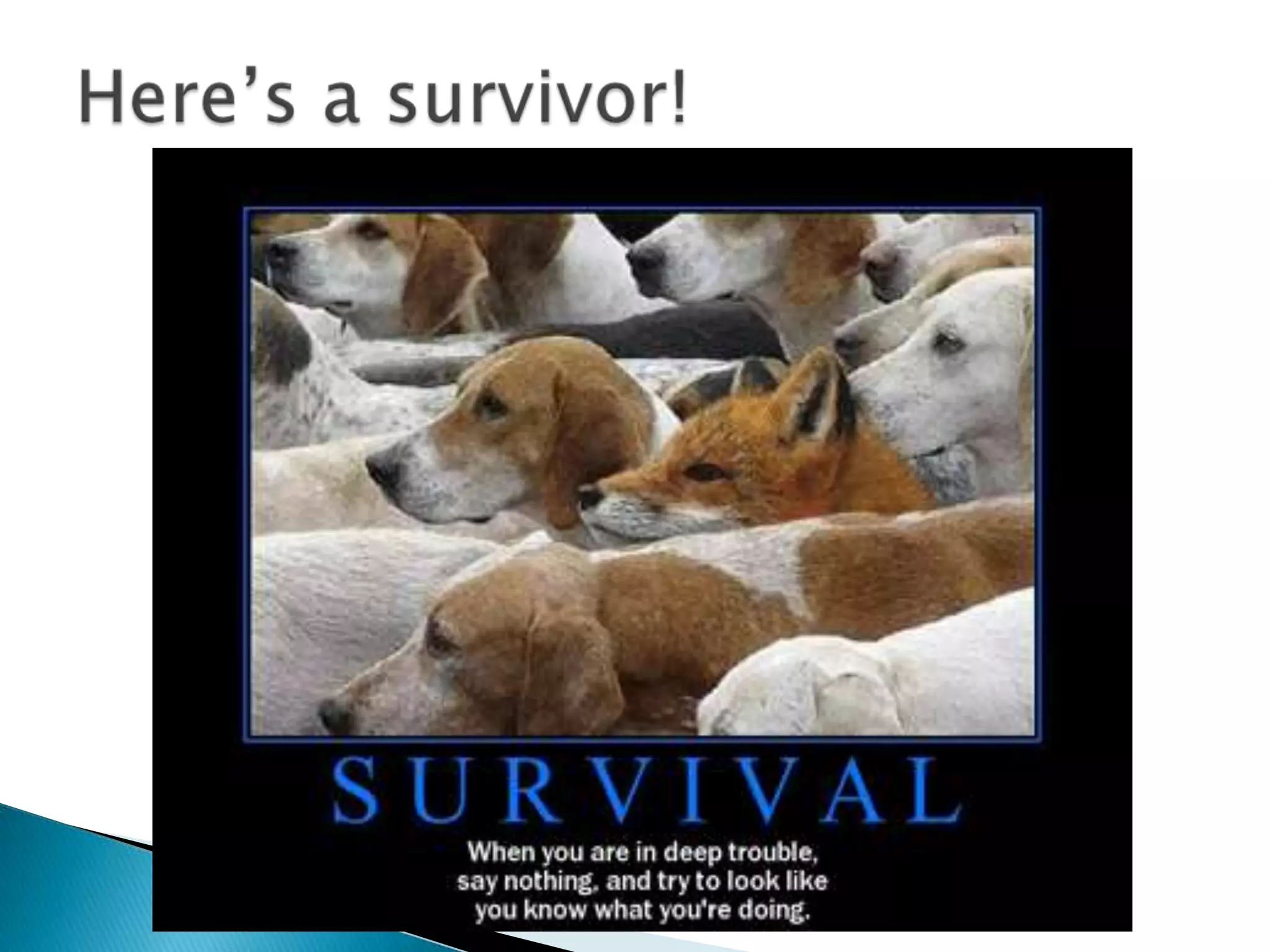 Our ability to understand each other is our chief survival tool. Relationships helped us survive in the jungle and are critical to surviving at school today. If someone does not feel safe with a teacher, he or she may not perform as well. If a student feels misunderstood because the teacher cannot connect with the way the student learns, the student may become isolated.Survival is Key to Understanding