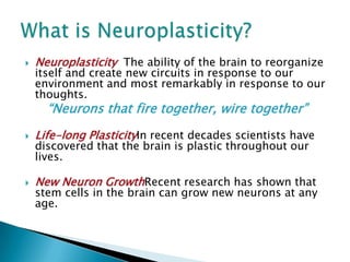 Neuroplasticity  The ability of the brain to reorganize itself and create new circuits in response to our environment and most remarkably in response to our thoughts.“Neurons that fire together, wire together”Life-long PlasticityIn recent decades scientists have discovered that the brain is plastic throughout our lives. New Neuron GrowthRecent research has shown that stem cells in the brain can grow new neurons at any age. What is Neuroplasticity?