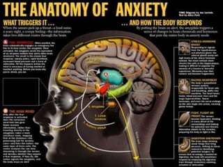 Our senses work together so it is important to stimulate them! Your head crackles with the perceptions of the whole world, sight, sound, taste, smell and touchRule #9: Stimulate more of the sensesThe learning link. Those in multisensory environments always do better than those in unisensory environments. They have more recall with better resolution that lasts longer, evident even 20 years later. 