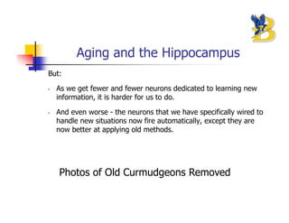 Aging and the Hippocampus
But:

•   As we get fewer and fewer neurons dedicated to learning new
    information, it is harder for us to do.

•   And even worse - the neurons that we have specifically wired to
    handle new situations now fire automatically, except they are
    now better at applying old methods.




    Photos of Old Curmudgeons Removed
 