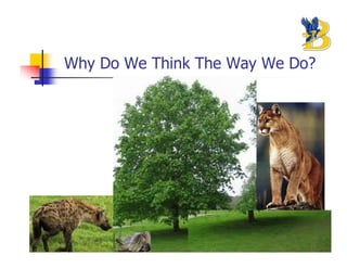 Why Do We Think The Way We Do?
 