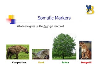 Somatic Markers
   Which one gives us the best gut reaction?




Competition          Food                Safety   Danger!!!
 