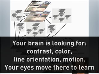Your brain is looking for:
       contrast, color,
  line orientation, motion.
Your eyes move there to learn
                           26
 