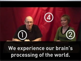 We experience our brain’s
 processing of the world.   60
 