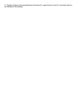 Z. Position of fibers in the pyramidal tract to the face (F), upper limb (U), trunk (T), and lower limb (L),
as indicated in the drawing
 