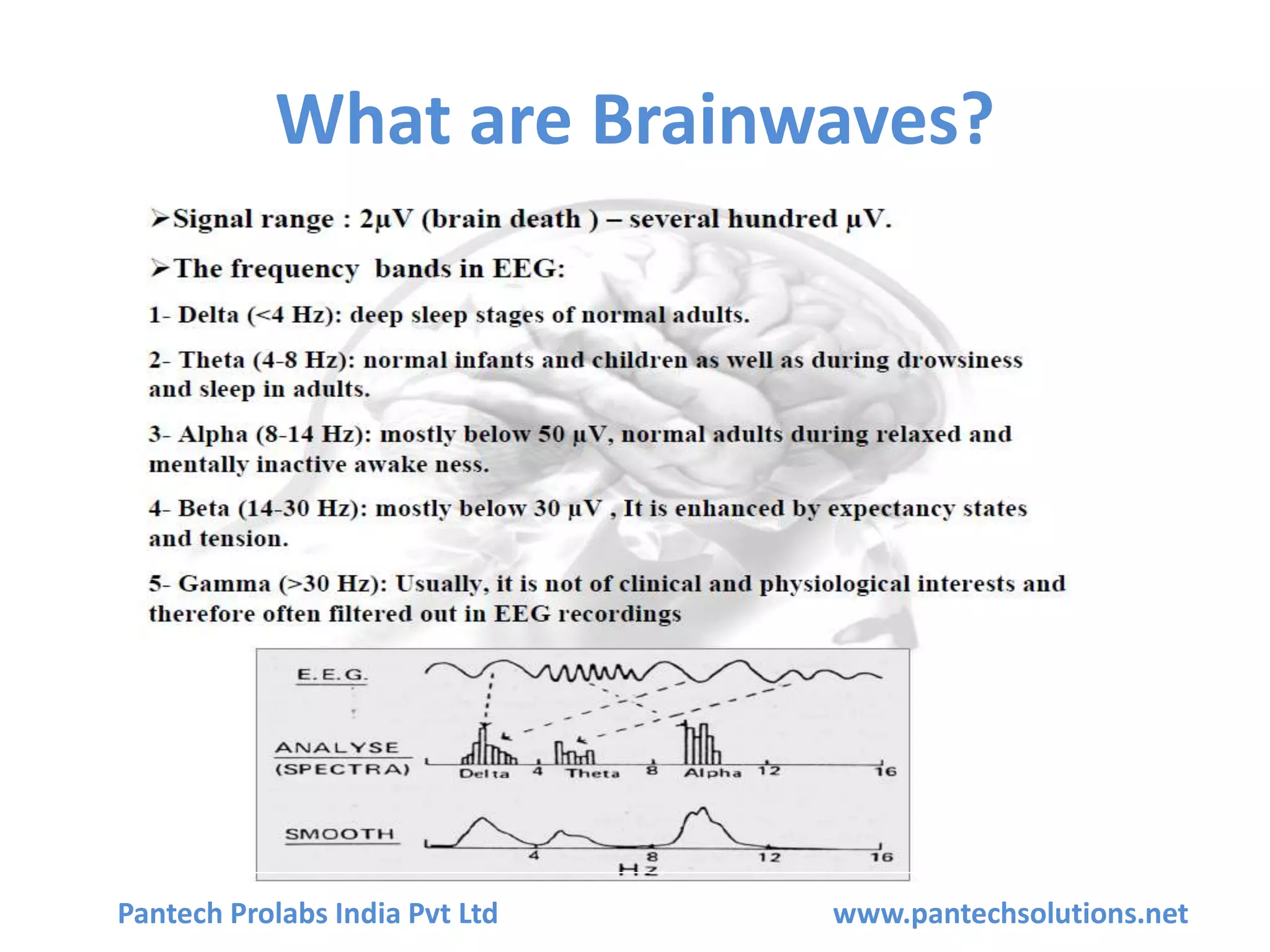 What are Brainwaves?
Pantech Prolabs India Pvt Ltd www.pantechsolutions.net